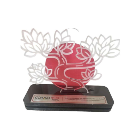 Troféu em LED da DCM PROMO